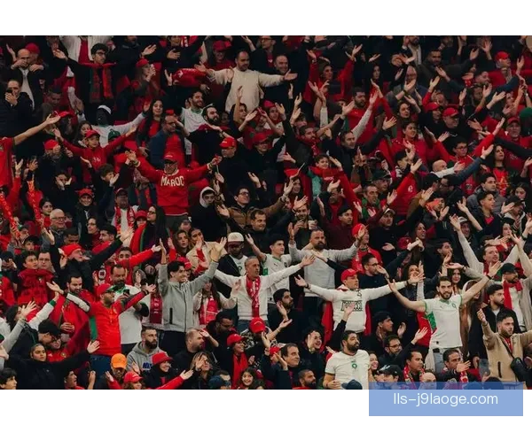 2025欧冠决赛将在慕尼黑安联球场激情上演盛况